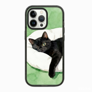 午睡黑猫